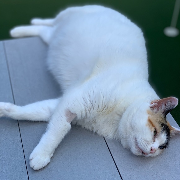 Meet your Posher, Kathy - Picture 1 of 1